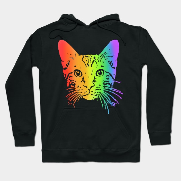 Rainbow Tabby Hoodie by childofthecorn